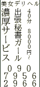 出張秘書ガール